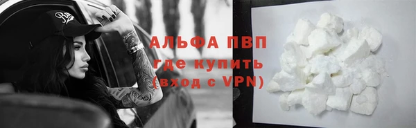 прущие грибы Бронницы