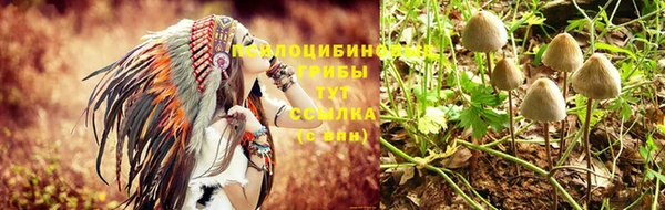 марки nbome Верхний Тагил