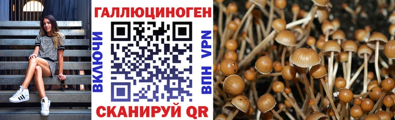 Галлюциногенные грибы мицелий  наркотики  Гаврилов Посад 