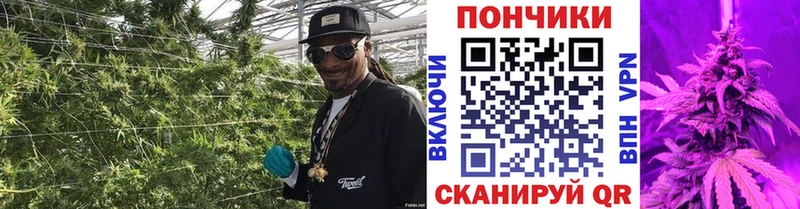 кракен ССЫЛКА  Гаврилов Посад  Бошки Шишки White Widow 